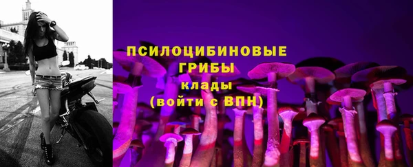 трава Новочеркасск