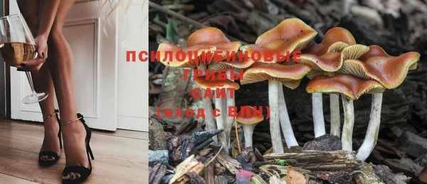 а пвп мука Нея