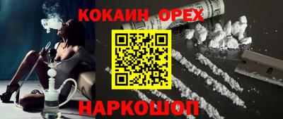 дмт Гай