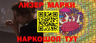 дмт Гай