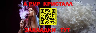 дмт Гай