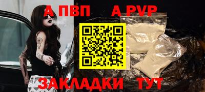 дмт Гай