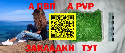 дмт Гай