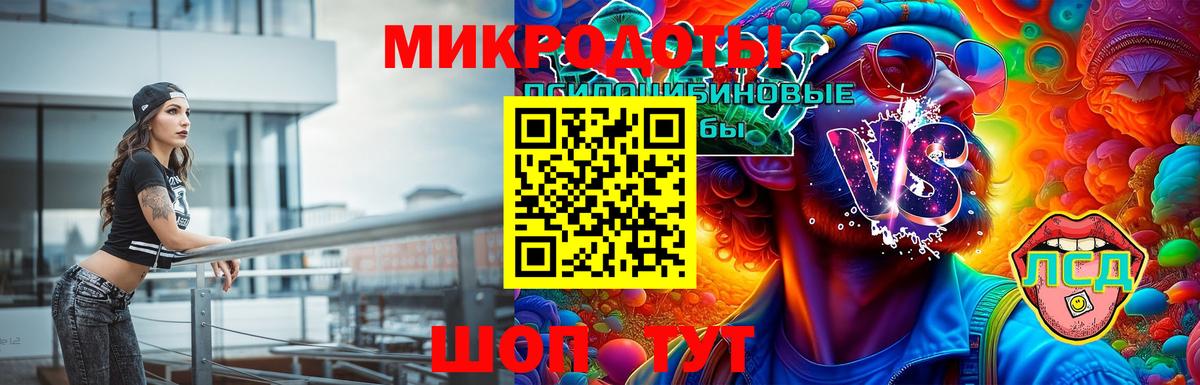 Галлюциногенные грибы MAGIC MUSHROOMS  Псилоцибиновые грибы прущие грибы  Звенигород 