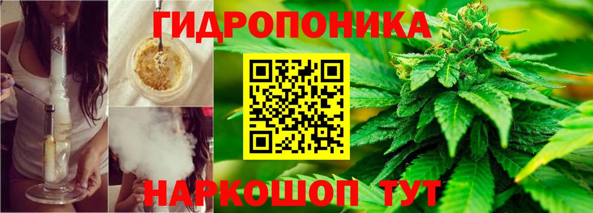 Канабис White Widow  Звенигород  Конопля индика 